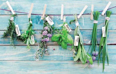 Harvest Kitchen: Staying in Season Image
